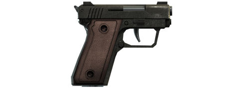 SNS Pistol